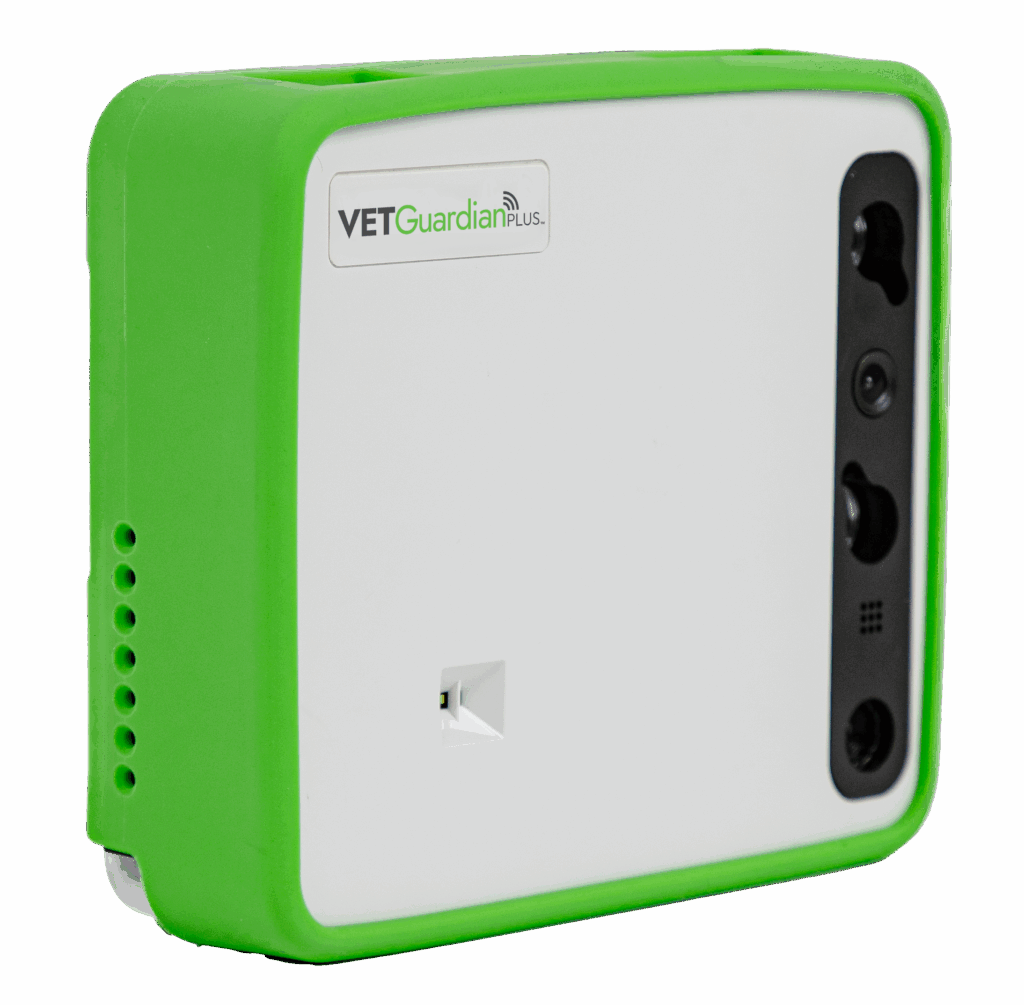 神　vital OPTIMO fashion #outfit vital 